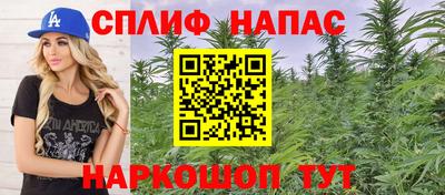 дмт Будённовск